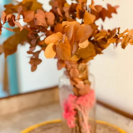 דירה Jaures - Boutique *