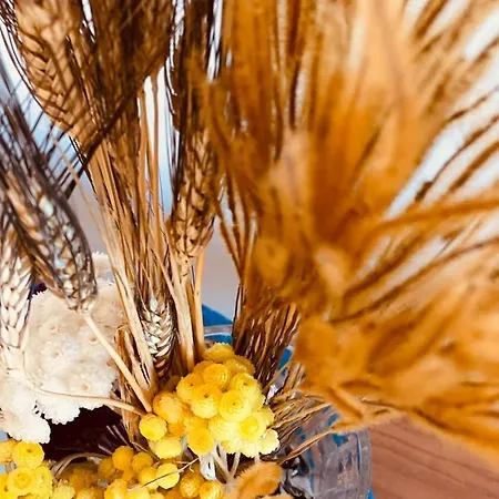 Jaures - Boutique דירה